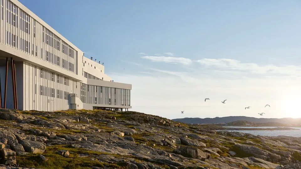 Fogo Island Inn above Newfoundland's rocky North Atlantic coastline with seabirds in flight